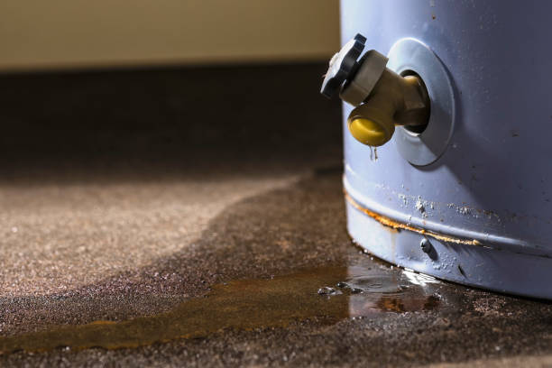Best Ceiling water damage repair  in The College Of New Jersey, NJ