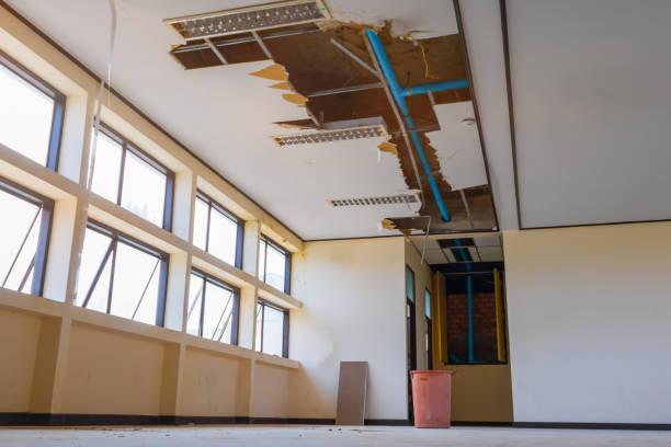 Best 24/7 water damage repair  in The College Of New Jersey, NJ