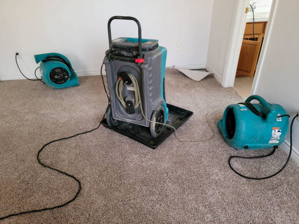 Best Water damage contractors near me  in The College Of New Jersey, NJ