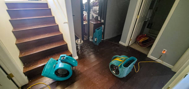 Reliable The College Of New Jersey, NJ Water damage restoration Solutions