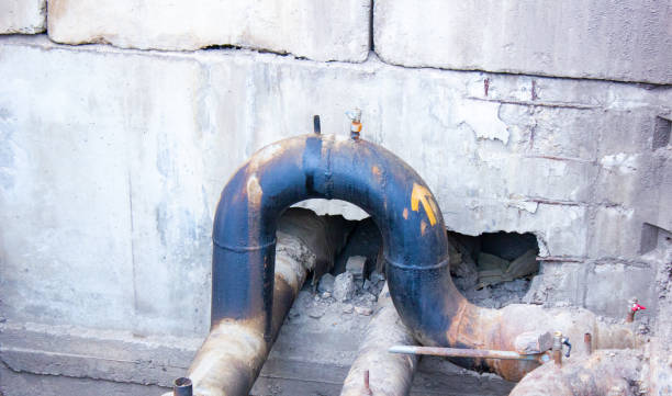 Best Flood damage cleanup  in The College Of New Jersey, NJ
