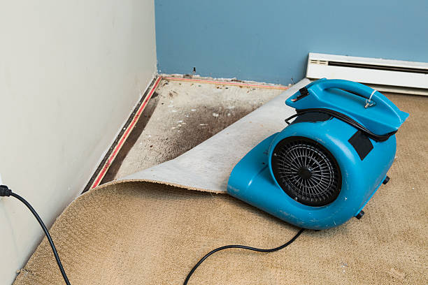  The College Of New Jersey, NJ Water damage restoration Pros